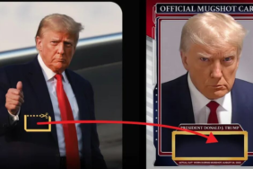 donald-trump-unveils-new-mugshot-nfts-stirring-up-prices-for-his-previous-nfts-1hjZrk4J.png