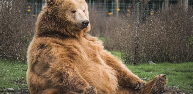 Bitcoin Traders Eye Support at $40K as ETF Contrarian Bets Prove Right