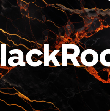 blackrock-releases-bitcoin-education-series-NreZOFHC.jpg