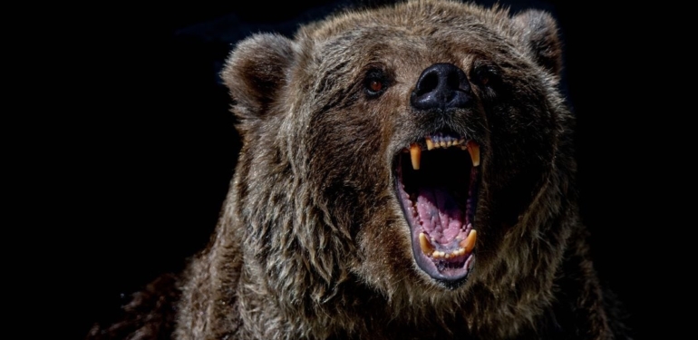 Bitcoin’s Short Term Momentum Flips Bearish; Support Under $65K