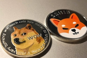 doge-shib-spike-after-elon-musk-tweets-about-mascot-dogs-passing-euhjLXYG.jpg