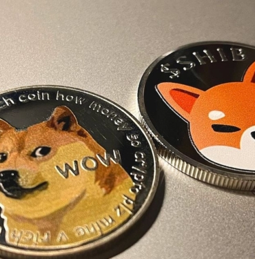 doge-shib-spike-after-elon-musk-tweets-about-mascot-dogs-passing-euhjLXYG.jpg