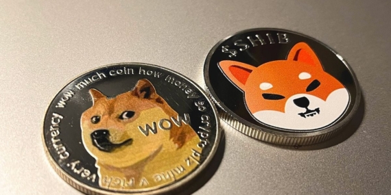 DOGE, SHIB Spike After Elon Musk Tweet’s About Mascot Dog’s Passing