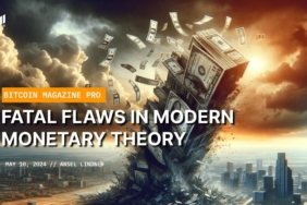 fatal-flaws-in-modern-monetary-theory-3C321Try.jpg